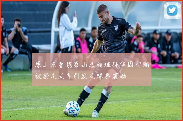 原山东鲁能泰山总经理孙华因行贿被禁足五年引发足球界震动